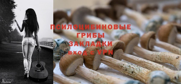 сатива Белоозёрский
