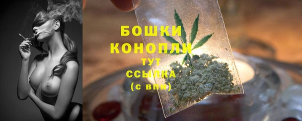 кокс Белокуриха