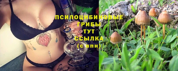 кокс Белокуриха