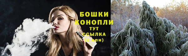 кокс Белокуриха